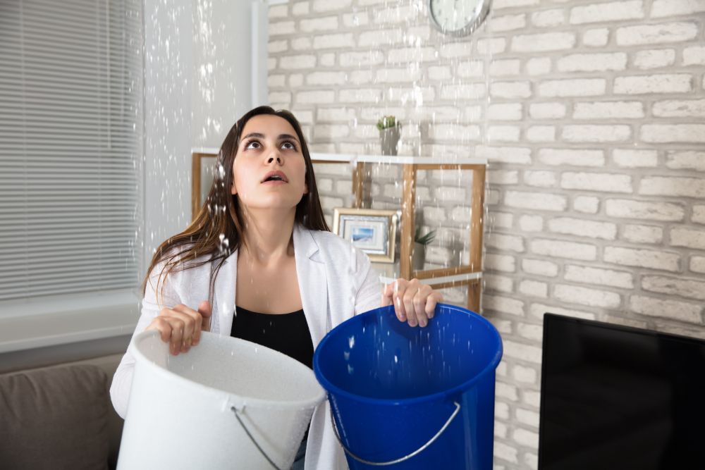 Maintenance That Matters: Avoiding Expensive Surprises